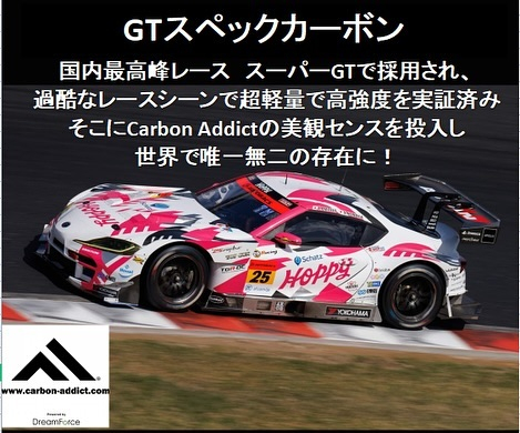 Carbon Addict GTspecカーボン